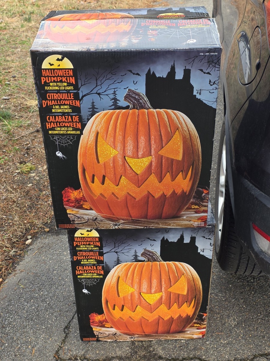 Costco 2018 20