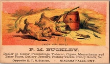 Antique Victorian Trade Card - P.M. Buckley - Niagara Falls - Dogs 
