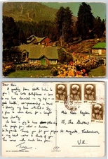 Kashmir India Gulmarg Postcard CTLA396