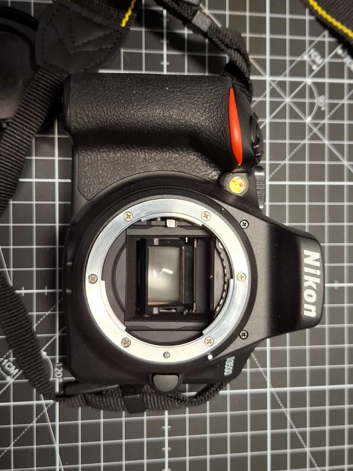 Nikon D3500, photo 4 sur 5