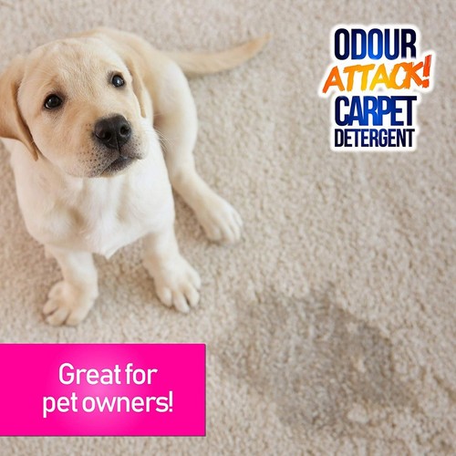 Pro-Kleen Odour Attack! Urine Carpet Cleaner Enzyme Shampoo Ocean Fresh 5L - Picture 4 of 6