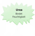 Bild 4 von 16
