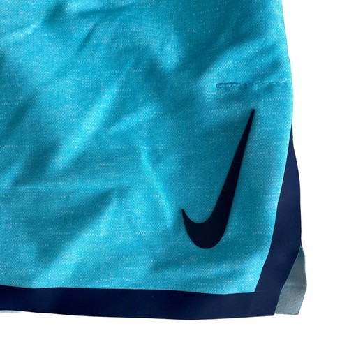 Nike Shorts NESS9438 Men's Large, Quick Dry, Sand Resistant, Comfort Waist, Mesh - Picture 2 of 9