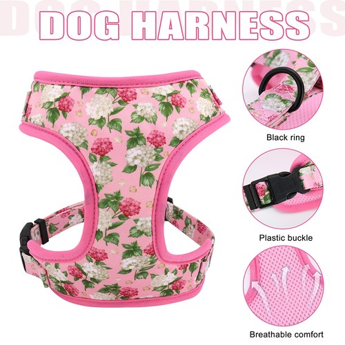 Floral Personalized Dog Collar & Leash Adjustable Mesh Vest Harness Small Large - Picture 3 of 16