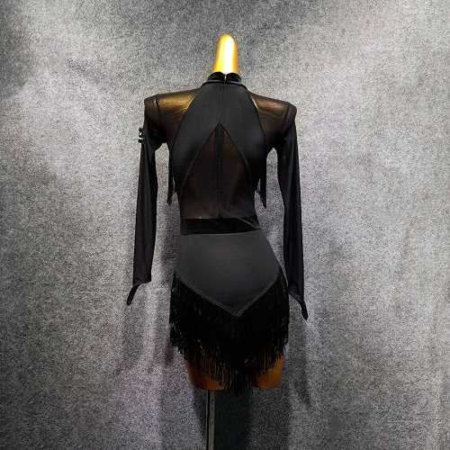 Black Tassel Latin Dance Dress Dancing Performance Women Dress Ballroom