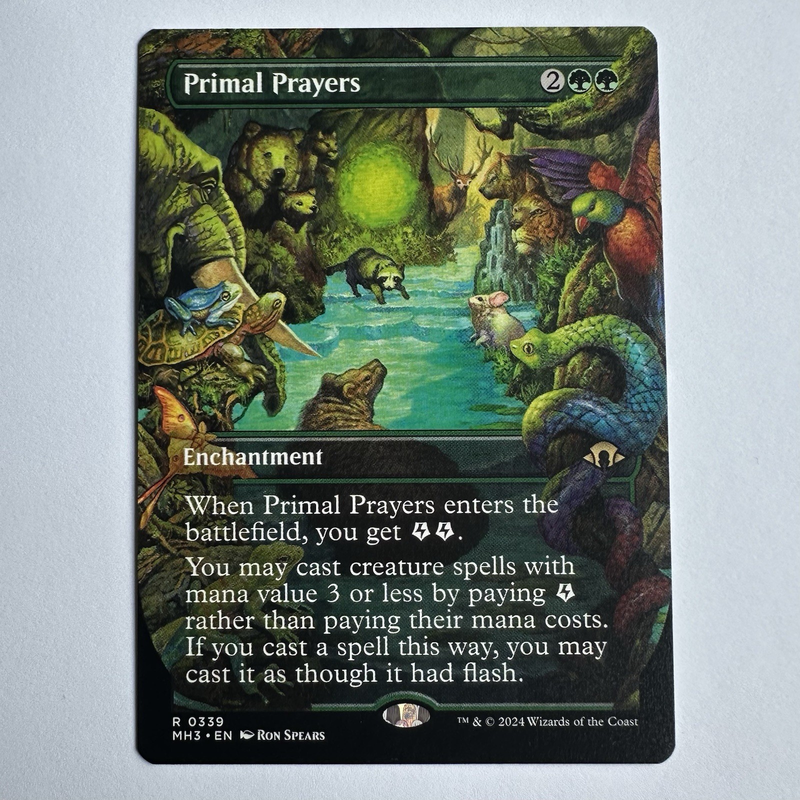 Primal Prayers (Borderless) #339 NM Modern Horizons 3 MTG Rare