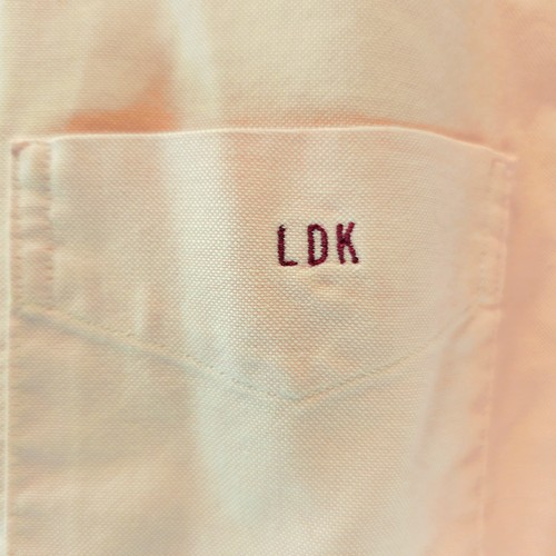 LANDS' END Pink Pinpoint Oxford Button Up Shirt L 16 X 32 Embroider Logo Lng Slv - Picture 2 of 11