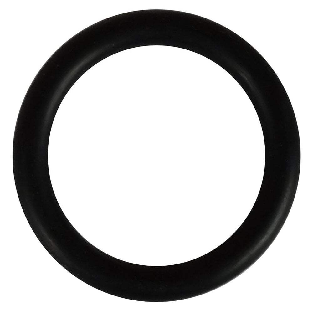 Evolution Aqua EVO UV Hosetail O-Ring