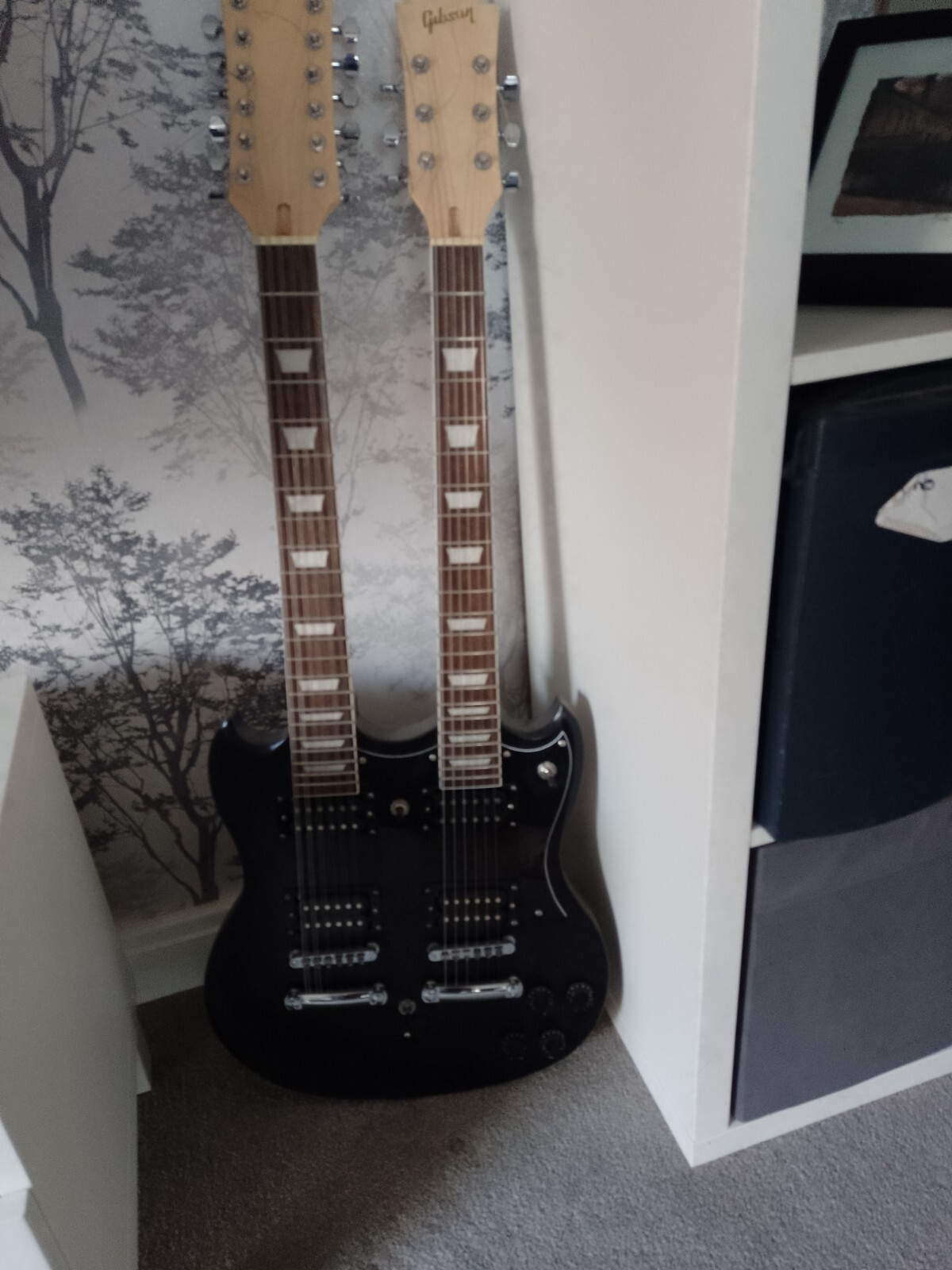 Twin Double Neck Guitar eBay