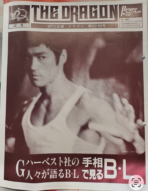 Bruce Lee The Dragon