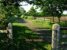 PHOTO  BRIDLEWAY NEAR PATFORD BRIDGE THIS BRIDLEWAY RUNS FROM NEAR PATFORD BRIDG