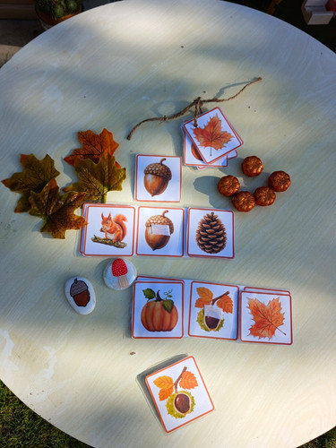 Autumn Seasonal Bundle,Decoration Cutouts, Multicolour Autumn Leaves