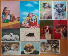 CANI - 37 VECCHIE CARTOLINE - GRANDE FORMATO - BASSO COSTO