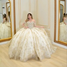 Quinceanera Dresses Ball Gown Sweet 16 Dress Beads Sequin Birthday PartyVestidos