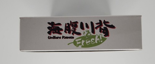 Umihara Kawase Fresh! (Nintendo Switch) Launch Edition (Super Famicom Box) NEW - Picture 5 of 6