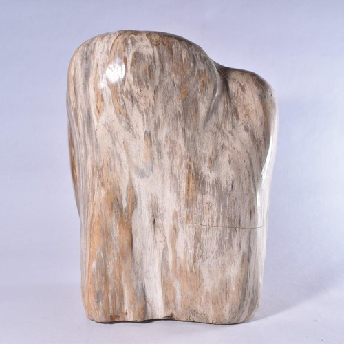 Muestra de madera petrificada, tocón de forma libre de madera fósil pulida, Indonesia 215 mm - Imagen 3 de 5