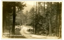 White Sulphur Springs PA -THE BRIDGE ON ROAD TO COLVINS- RPPC Postcard