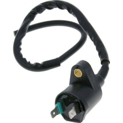 Zündspule 2 Pins für: Nova Motors City-F3000,City,Retro,Grace,Eco,Venezia II,GT3