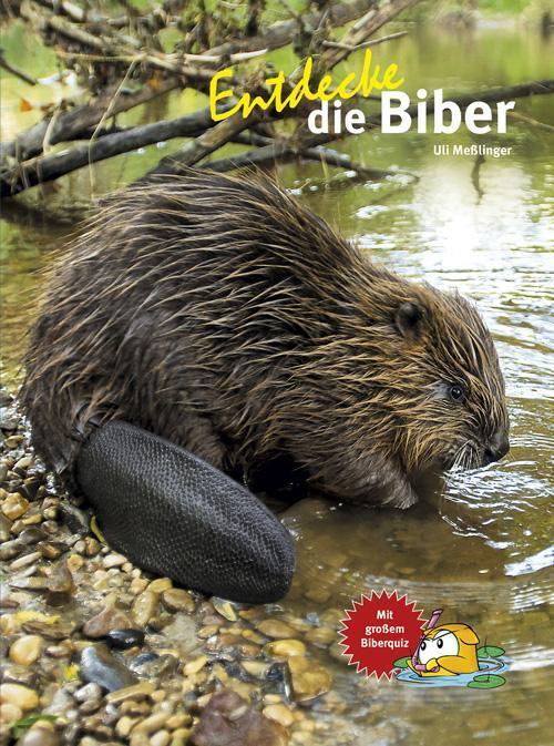 Thumbnail - Entdecke Die Biber | Ulrich Meßlinger | Mit Großem Biberquiz | Buch |