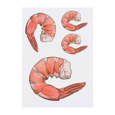 4 x 'Cooked Prawn' Temporary Tattoos / Transfers TO00049955 
