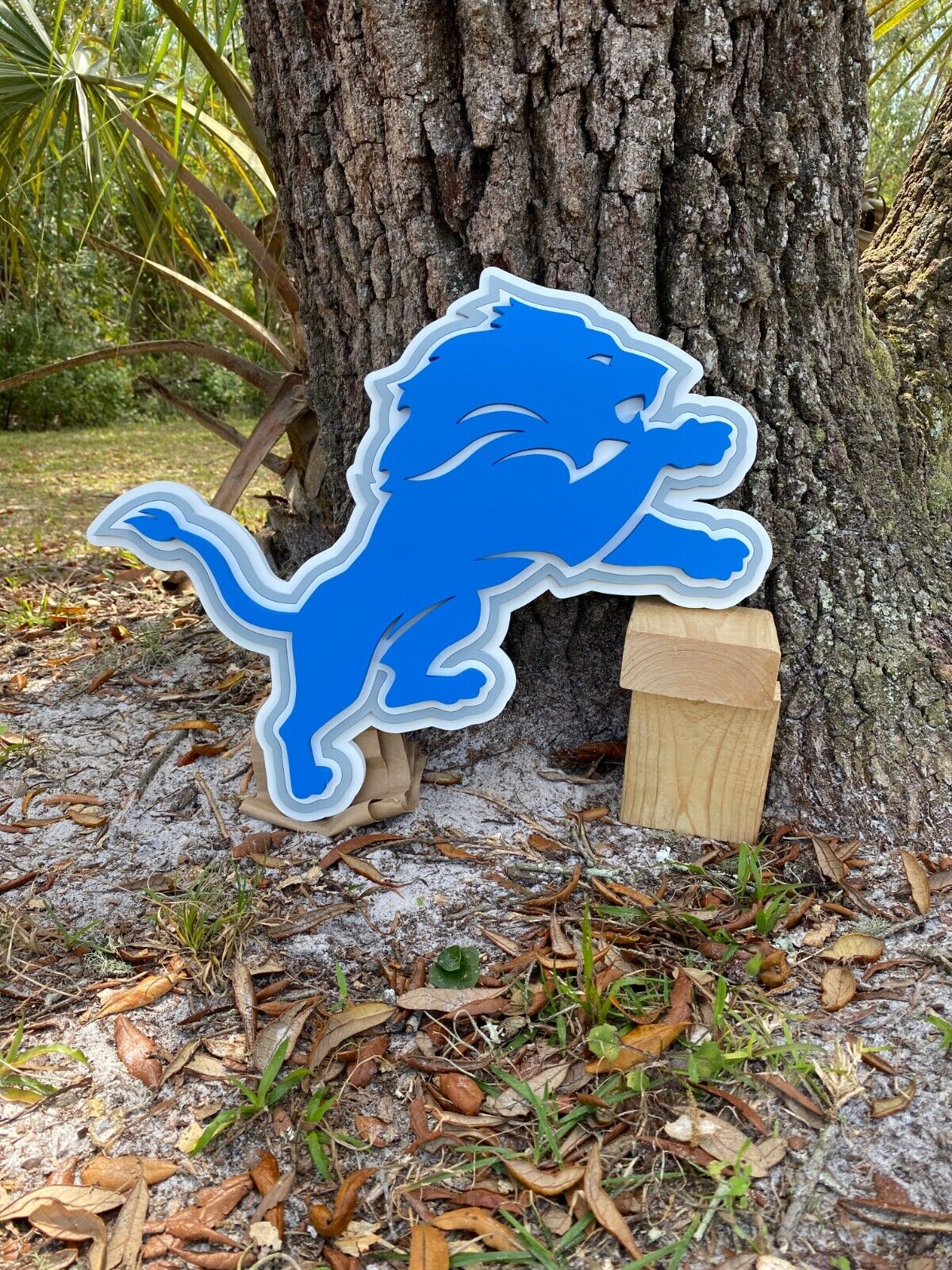 Picture 4 of 4
