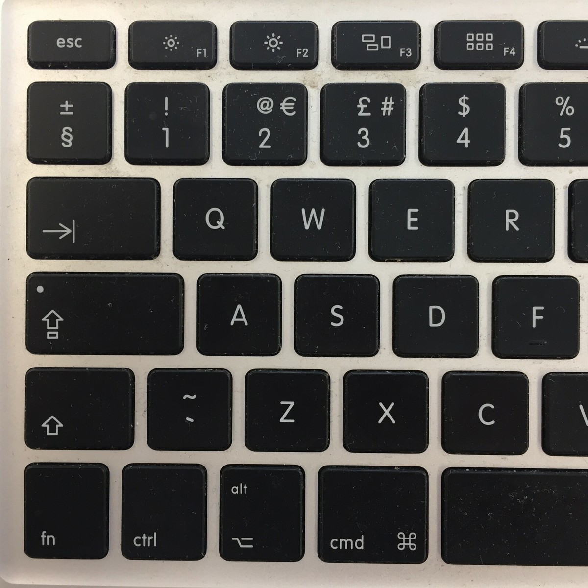 s-l1200.jpg