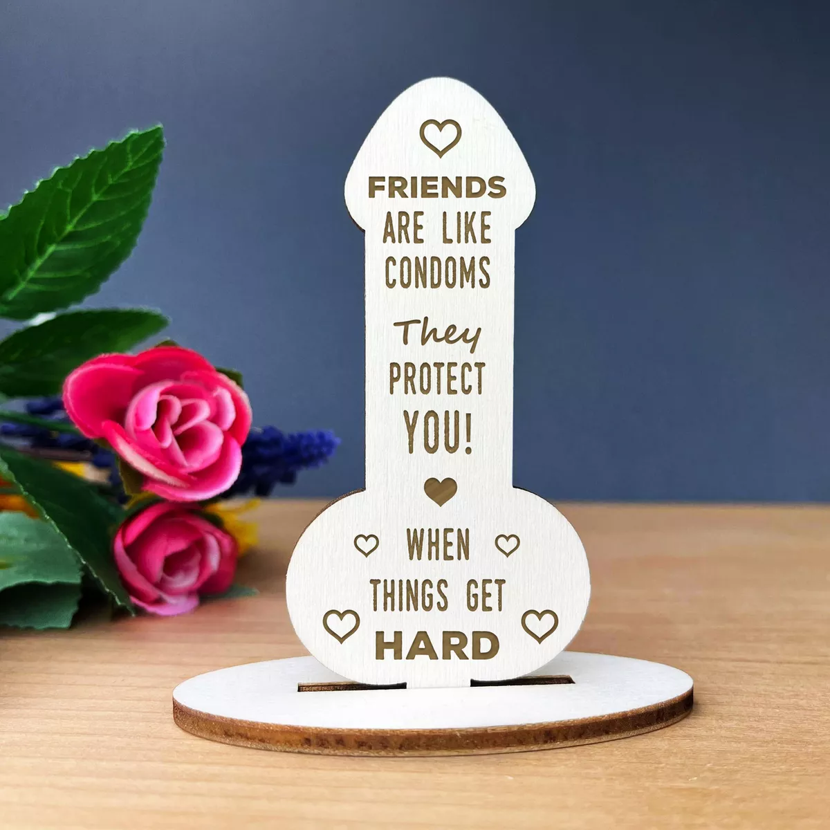 Funny Rude Friendship Plaque Novelty Birthday Gift For Friend Joke Gift For  Her