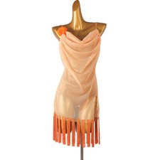 Latin Ballroom Competitio  n Dance Dress Modern Waltz Tango Standard Dress F774