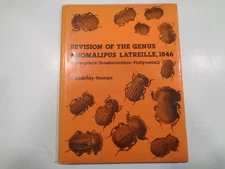 Revision of the Genus Anomalipus Latreille, 1846 African Beetles Entomology