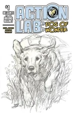 Action Lab Dog Of Wonder #1 Cvr C Coloring Book Neal Adams Action Lab Comic Book
