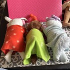 TARGET FIRESIDE PALS 10" PLUSH RABBIT, FOX  & BEAR WITH BLANKET NEW WITH TAGS — photo 5