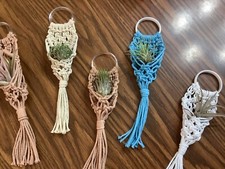 Air plant Macrame hanger for air plants, fake plants made in USA
