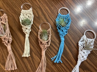 Air plant Macrame hanger for air plants, fake plants made in USA | eBay