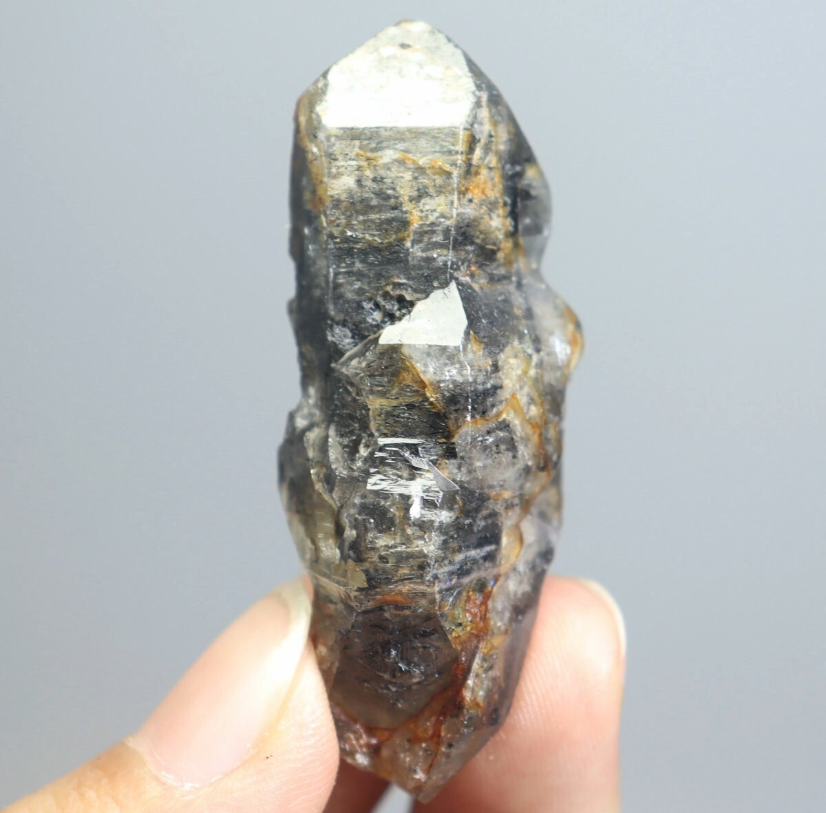 Natural Black Phantom Herkimer Diamond Quartz Crystal Point Mineral Specimen