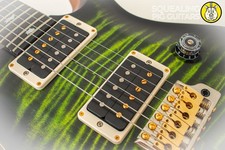 PRS USA Paul Reed Smith Wood Library Custom 24 *Artist Top 