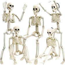 5 Pack Halloween Skeleton Decoration,16"Full Body Posable Skeleton Realistic
