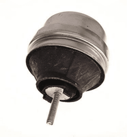 Lagerung Motor Vorne FüR Audi Skoda VW A4 B5 Avant B6 A6 C5