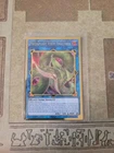 YUGIOH PREDAPLANT VERTE ANACONDA MGED-EN036 GOLD 1ST ED NM
