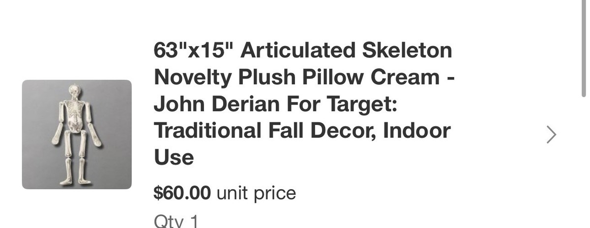 Coussin Squelette John Derian X Target 63cm Halloween Neuf Sous Emballage