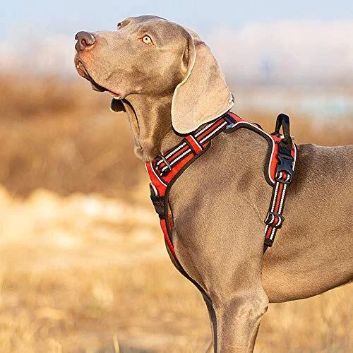 Dog Harness No Pull Nylon Reflective Pet Harness Adjustable Comfortable L Red