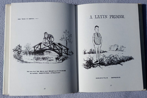 THELWELL UP THE GARDEN PATH GUIDE TO GARDENING Methuen 1967 FIRST EDITION HB DW - Imagen 2 de 3