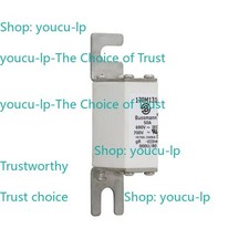 Bussmann Eaton 170M1313 High Speed Fuses 40A Square Body Blade Fuses 690 VAC