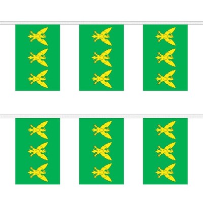 Flagtex Caernarfonshire Rechteck Wimpelkette