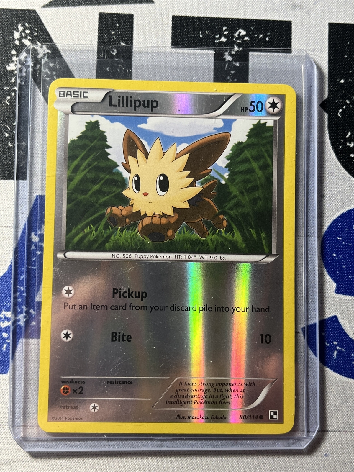 Pokémon TCG Lillipup Black and White 80/114 Reverse Holo Common