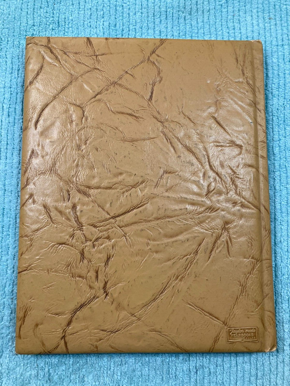Picture 2 of 11