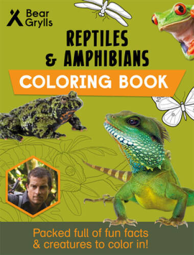 Reptiles Amphibians (Bear Grylls Coloring Book) - Paperback ...