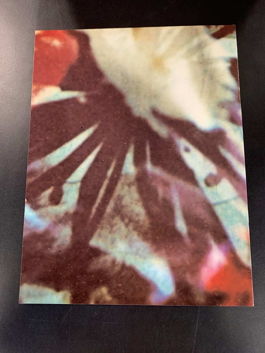 The Cure - The Prayer Tour (1989 Europe) book program | eBay