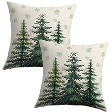 Winter Pillow Covers 18X18 Set of 2, 18" x 18" Pack of 2 Forest Green