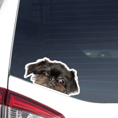 Brussels Griffon Car Sticker Peeking Black Griffon Head Face Decal Bumper Window