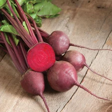 Beet Seed: Ruby Queen Beet Seed Fresh Seed
